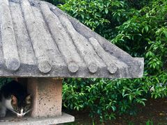 -方山风景区定林寺