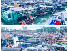 -北海金海湾红树林生态旅游区