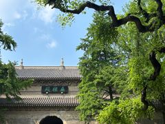 -灵谷景区