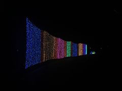 -昆山城市生态森林公园