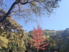 -香山公园