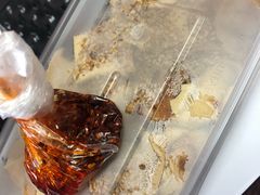 -老王豆皮