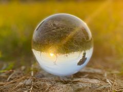 -山明水秀大饭店