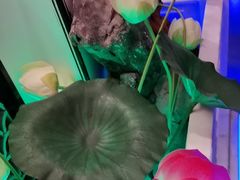 -庭院江南菜•烤鸭•非遗传承(丰台总部基地店)