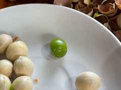 -腾冲国萍农家乐