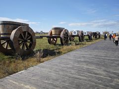 -呼伦贝尔大草原巴尔虎蒙古部落民俗旅游度假景区