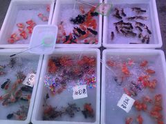 -华声天桥民俗文化园