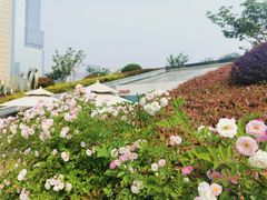 -UNI UNI(环亚凯瑟琳店)