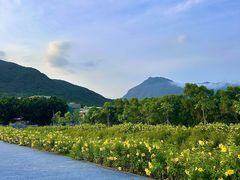 -西涌国际滨海旅游区