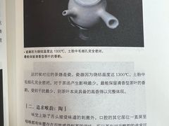 -金鸡湖景区