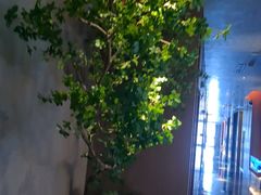 -唐宫足道·SPA·住宿24H会所(木渎店)