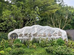-东明山森林公园