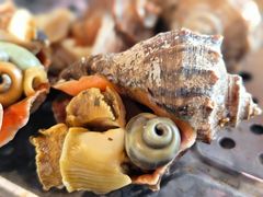 -巧克力渔家.小船海鲜胶东菜(万平口店)