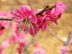 -北京西山国家森林公园