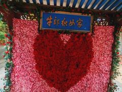 -抱犊寨风景区