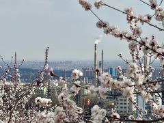 -白水寺森林公园