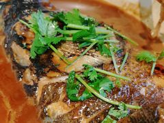 -绿杨春·淮扬宴(庐山路店)