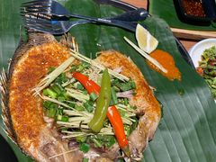 -雀舞云南菜(乐客城店)