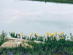 景点-光明小镇欢乐田园