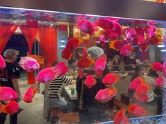 -朱光玉火锅馆(正弘城店)