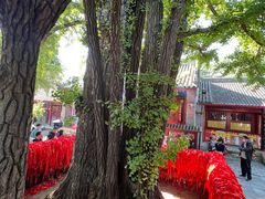-红螺寺