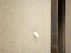 -成都尼依格罗酒店