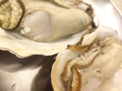 爱尔兰生蚝（2只）-白仁仔· 活烤海鲜 宵夜(豫园店)