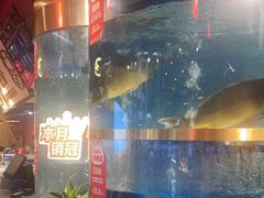 -蜀滋香鲜鱼美蛙火锅(339店)