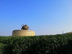 -龙坞茶村