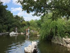 -吴淞炮台湾湿地森林公园烧烤区