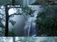 -大围山国家森林公园