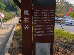 -南国桃园旅游度假区