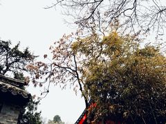 -千佛山风景名胜区