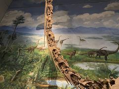 -自贡恐龙博物馆