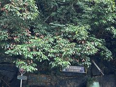 -将军关探险漂流