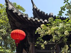 -常熟方塔园