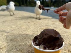 -Patagonia Chocolates(皇后镇店)