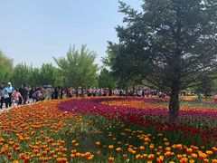 -长春公园(普阳街道)