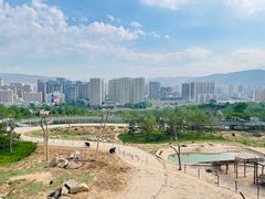 -青藏高原野生动物园