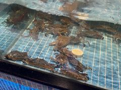 -小天鹅戴斯酒店鲸鲨百汇创作料理