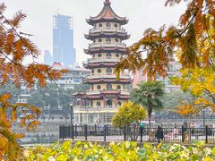 -宝岛公园