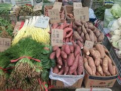 -北京清河镇农副产品交易市场中心