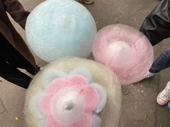-南湖梦幻岛