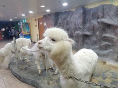 -上海大自然野生昆虫馆(东方明珠·爬宠昆虫探索中心)