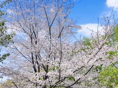 -南京特殊教育师范学院(燕子矶校区)