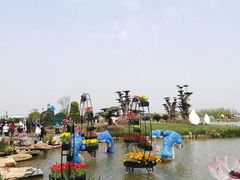 -荷兰花海