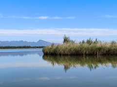 -野鸭湖国家湿地公园