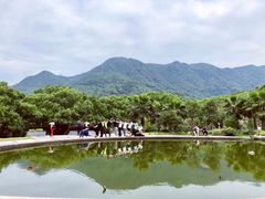 -福清灵石山国家森林公园