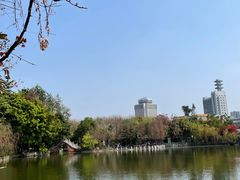 -东莞市可园博物馆