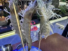 -东海怡品海鲜豆捞(星街坊店)